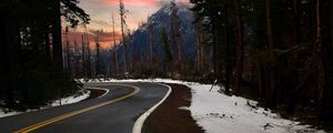 Preview wallpaper road, turn, trees, forest, snow