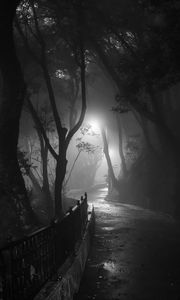 Preview wallpaper road, turn, trees, fog, park, night