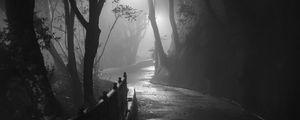 Preview wallpaper road, turn, trees, fog, park, night