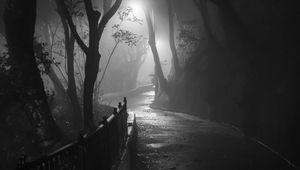 Preview wallpaper road, turn, trees, fog, park, night