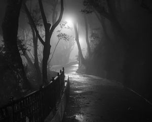 Preview wallpaper road, turn, trees, fog, park, night