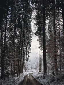 Preview wallpaper road, turn, trees, snow, winter, black and white