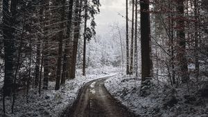 Preview wallpaper road, turn, trees, snow, winter, black and white