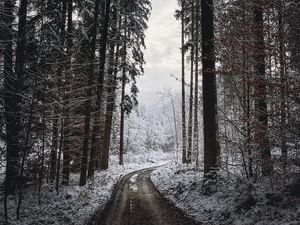 Preview wallpaper road, turn, trees, snow, winter, black and white