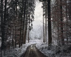 Preview wallpaper road, turn, trees, snow, winter, black and white