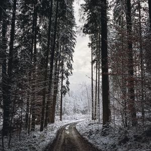 Preview wallpaper road, turn, trees, snow, winter, black and white