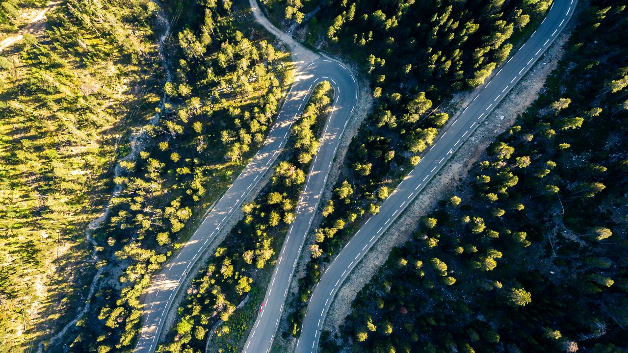 Wallpaper road, turn, trees, aerial view