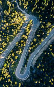 Preview wallpaper road, turn, trees, aerial view