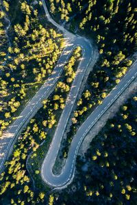 Preview wallpaper road, turn, trees, aerial view