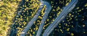 Preview wallpaper road, turn, trees, aerial view