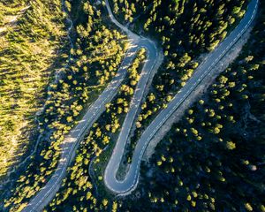 Preview wallpaper road, turn, trees, aerial view