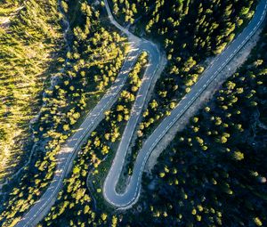 Preview wallpaper road, turn, trees, aerial view