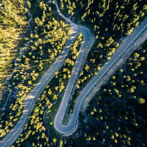 Preview wallpaper road, turn, trees, aerial view