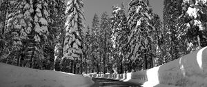 Preview wallpaper road, turn, trees, snow, winter, sunlight, black and white