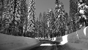 Preview wallpaper road, turn, trees, snow, winter, sunlight, black and white