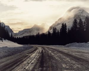 Preview wallpaper road, turn, trees, mountains, nature