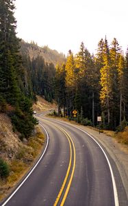 Preview wallpaper road, turn, trees, nature, landscape