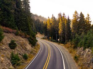 Preview wallpaper road, turn, trees, nature, landscape