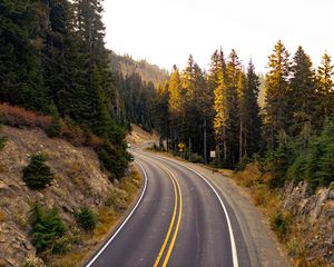 Preview wallpaper road, turn, trees, nature, landscape