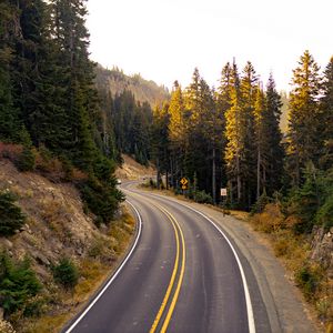 Preview wallpaper road, turn, trees, nature, landscape