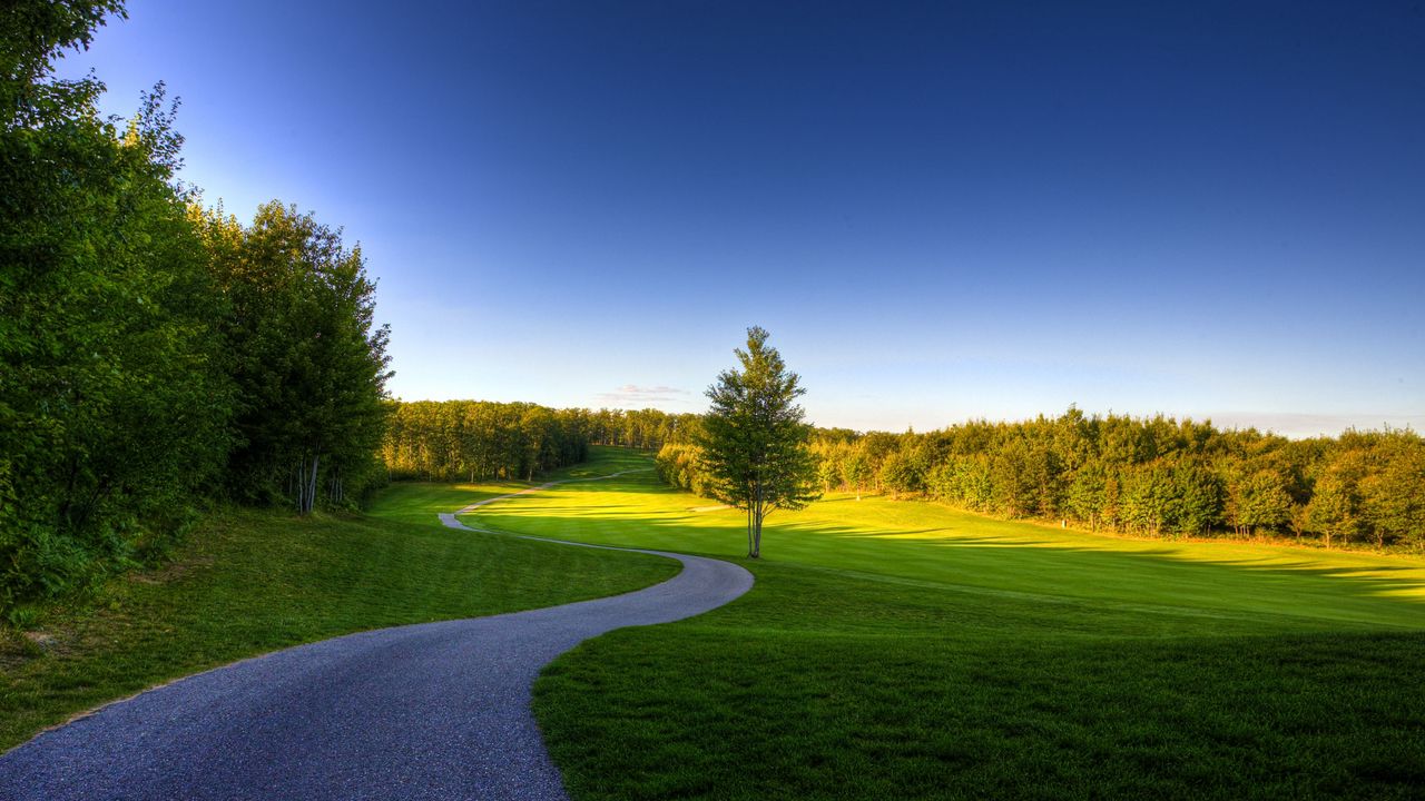 Wallpaper road, turns, bends, tree, meadow