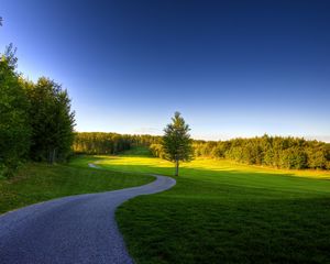 Preview wallpaper road, turns, bends, tree, meadow