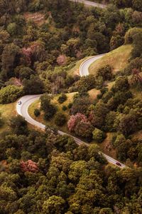 Preview wallpaper road, view from above, hills, trees