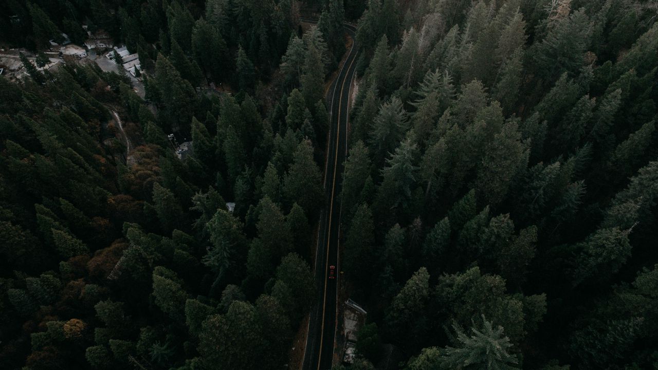 Wallpaper road, view from above, trees, marking, auto, movement