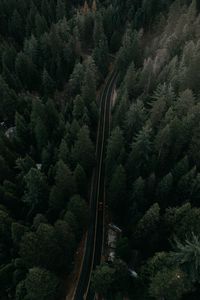 Preview wallpaper road, view from above, trees, marking, auto, movement