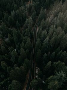 Preview wallpaper road, view from above, trees, marking, auto, movement