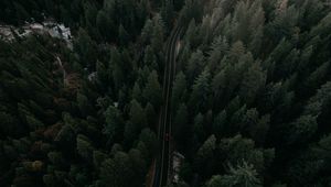 Preview wallpaper road, view from above, trees, marking, auto, movement