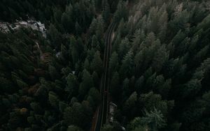 Preview wallpaper road, view from above, trees, marking, auto, movement