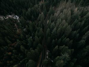 Preview wallpaper road, view from above, trees, marking, auto, movement