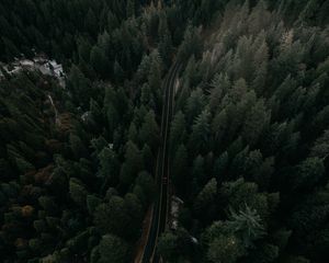 Preview wallpaper road, view from above, trees, marking, auto, movement