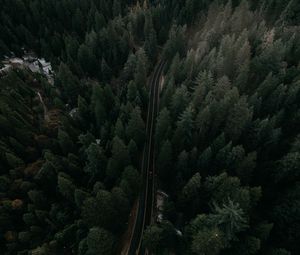 Preview wallpaper road, view from above, trees, marking, auto, movement