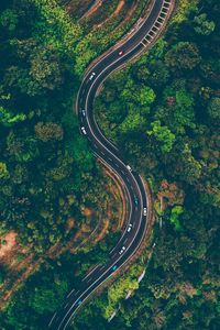 Preview wallpaper road, view from above, trees, winding road, batang kali, malaysia