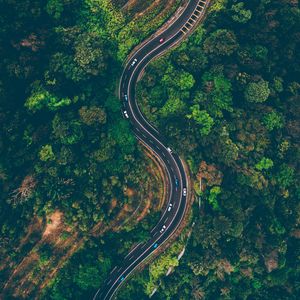 Preview wallpaper road, view from above, trees, winding road, batang kali, malaysia