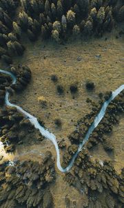 Preview wallpaper road, winding, aerial view, trees, treetops