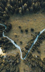 Preview wallpaper road, winding, aerial view, trees, treetops