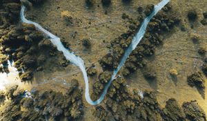 Preview wallpaper road, winding, aerial view, trees, treetops