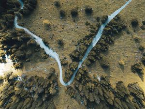 Preview wallpaper road, winding, aerial view, trees, treetops