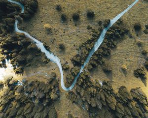 Preview wallpaper road, winding, aerial view, trees, treetops