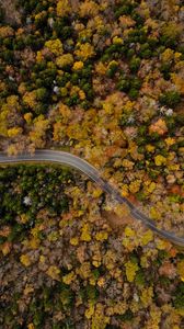 Preview wallpaper road, winding, aerial view, trees, treetops