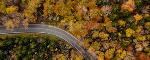 Preview wallpaper road, winding, aerial view, trees, treetops