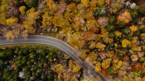 Preview wallpaper road, winding, aerial view, trees, treetops