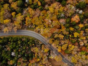 Preview wallpaper road, winding, aerial view, trees, treetops