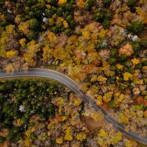 Preview wallpaper road, winding, aerial view, trees, treetops