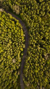 Preview wallpaper road, winding, aerial view, forest