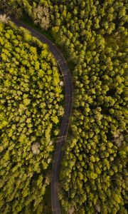 Preview wallpaper road, winding, aerial view, forest