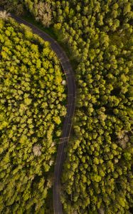 Preview wallpaper road, winding, aerial view, forest